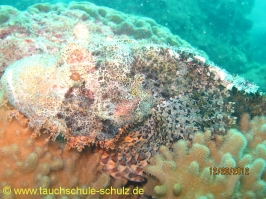 Thailand www.aqua-divers.de